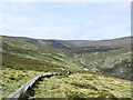 T0895 : Boardwalk descending into upper Glenealo valley by Trevor Littlewood