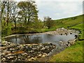 SD8780 : Pool on the Wharfe, downstream from Beckermonds by Stephen Craven