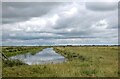 TG4306 : Watery scene on the Broads by Bill Harrison