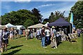 SP3265 : Art in the Park, Leamington by Robin Stott