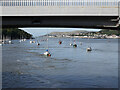 SH7878 : The River Conwy/Afon Conwy estuary by John S Turner