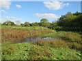 SZ0896 : Watrlogged path, Stour Valley Nature Reserve, near Bournemouth by Malc McDonald