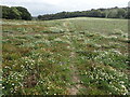 TQ6751 : The Greensand Way descending to the Medway Valley by Marathon