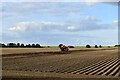 TF4825 : Sutton Bridge: Harvesting potatoes by Michael Garlick