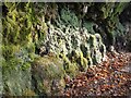 NZ1701 : Travertine rock face by Oliver Dixon