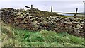 SD9147 : Junction of dry stone walls dividing fields between Booth House and Batty House by Roger Templeman