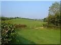 SX7167 : Fields near Button by Derek Harper