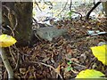 SP5206 : Possible Boundary Stone, Oxford by Mr Red