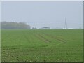 TL4723 : Farmland near Wickham Hall by Bill Boaden