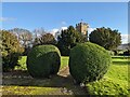 SO4183 : Bushes at St. Michael's church (Sibdon Carwood) by Fabian Musto