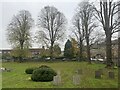 SU7791 : Trees lining the churchyard of Fingest church by Simon Mortimer