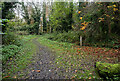 J3482 : Path, Carnmoney Hill by Rossographer