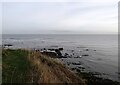 NZ4161 : Sea view at Whitburn by Robert Graham