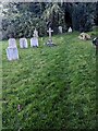 SO6521 : Churchyard headstones, Lea, Herefordshire  by Jaggery