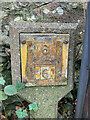 SH6366 : Hydrant marker, Gwernydd by Meirion