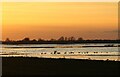 TL4988 : Dusk at the Ouse Washes by Hugh Venables