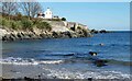 C6842 : Inishowen Head, Shrove, near Greencastle, Co. Donegal by P L Chadwick