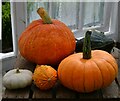 TF9007 : Holme Hale Hall Gardens: Harvested squashes on display in the greenhouse by Michael Garlick