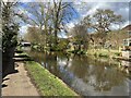 SJ8840 : Trent and Mersey Canal at Trentham by Jonathan Hutchins