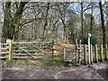 SJ7639 : Track and footpath onto Maer Hills by Jonathan Hutchins