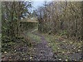 SJ6606 : Permissive bridleway to Lower Coalmoor Farm by TCExplorer