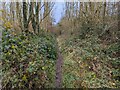 SJ6606 : Permissive bridleway to the south-west of Coalmoor Landfill Site by TCExplorer