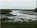 SH4558 : Y blaendraeth / the foreshore, Hen Foryd by Christine Johnstone