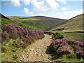 NY3132 : The Cumbria Way in the Caldew Valley by Adrian Taylor