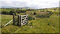 NY1938 : Gate for footpath towards Whitrigg in fence line at Borrowscale by Roger Templeman