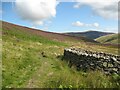 NY3031 : The Cumbria Way below Snab by Adrian Taylor