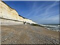 TQ3403 : Chalk cliffs at Roedean by Adrian Taylor