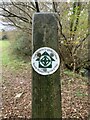 SH5967 : Taith Pererin Gogledd Cymru / North Wales Pilgrim's Way waymark disc, Tregarth by Meirion