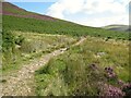 NY3030 : The Cumbria Way near Wiley Gill by Adrian Taylor