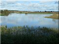 SE7043 : View north from Pool Hide, Wheldrake Ings by Christine Johnstone