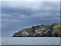 NT9169 : St Abb's Head by Jonathan Hutchins