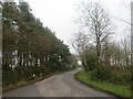 SU1900 : Braggers Lane, near Bransgore by Malc McDonald