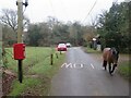 SU2303 : New Forest pony at Bisterne Close, near Burley by Malc McDonald