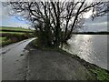 SP6691 : Lane next to Saddington Reservoir by Mat Fascione