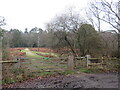 SU2400 : Track in the New Forest National Park by Malc McDonald