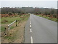 SZ2599 : Minor road in the New Forest by Malc McDonald