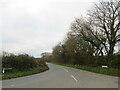 SY9494 : Halls Road, Lytchett Matravers by Malc McDonald