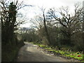 SY9596 : Old Market Road, near Lytchett Matravers by Malc McDonald