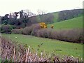 SX9386 : Valley above Towsington by Derek Harper