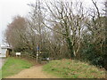 SZ0494 : Path into woodland, Alderney, Poole by Malc McDonald