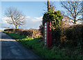 J6248 : Telephone call box near Portaferry by Rossographer