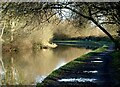 SK2928 : Bend on the canal by Alan Murray-Rust