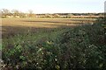 TL5122 : Farmland near Birchanger by Bill Boaden