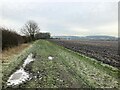 SK5430 : Footpath and Field on Gotham Moor by Jonathan Clitheroe