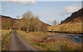 NM8419 : Road by the River Euchar by Craig Wallace