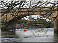 NS8246 : South Lanarkshire Landscape : Kayakers passing under Crossford Bridge by Richard West